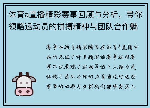 体育a直播精彩赛事回顾与分析，带你领略运动员的拼搏精神与团队合作魅力